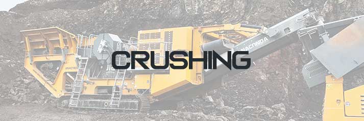 Crushing Icon for Anaconda Homepage